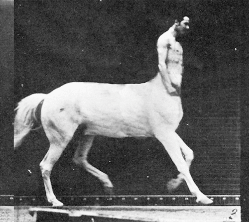 Centauro. Eadweard Muybridge